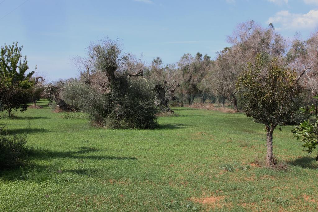 Villa Nanni Gallipoli Bagian luar foto