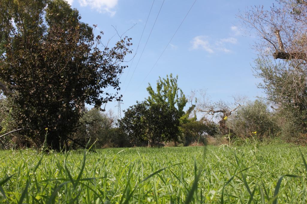 Villa Nanni Gallipoli Bagian luar foto